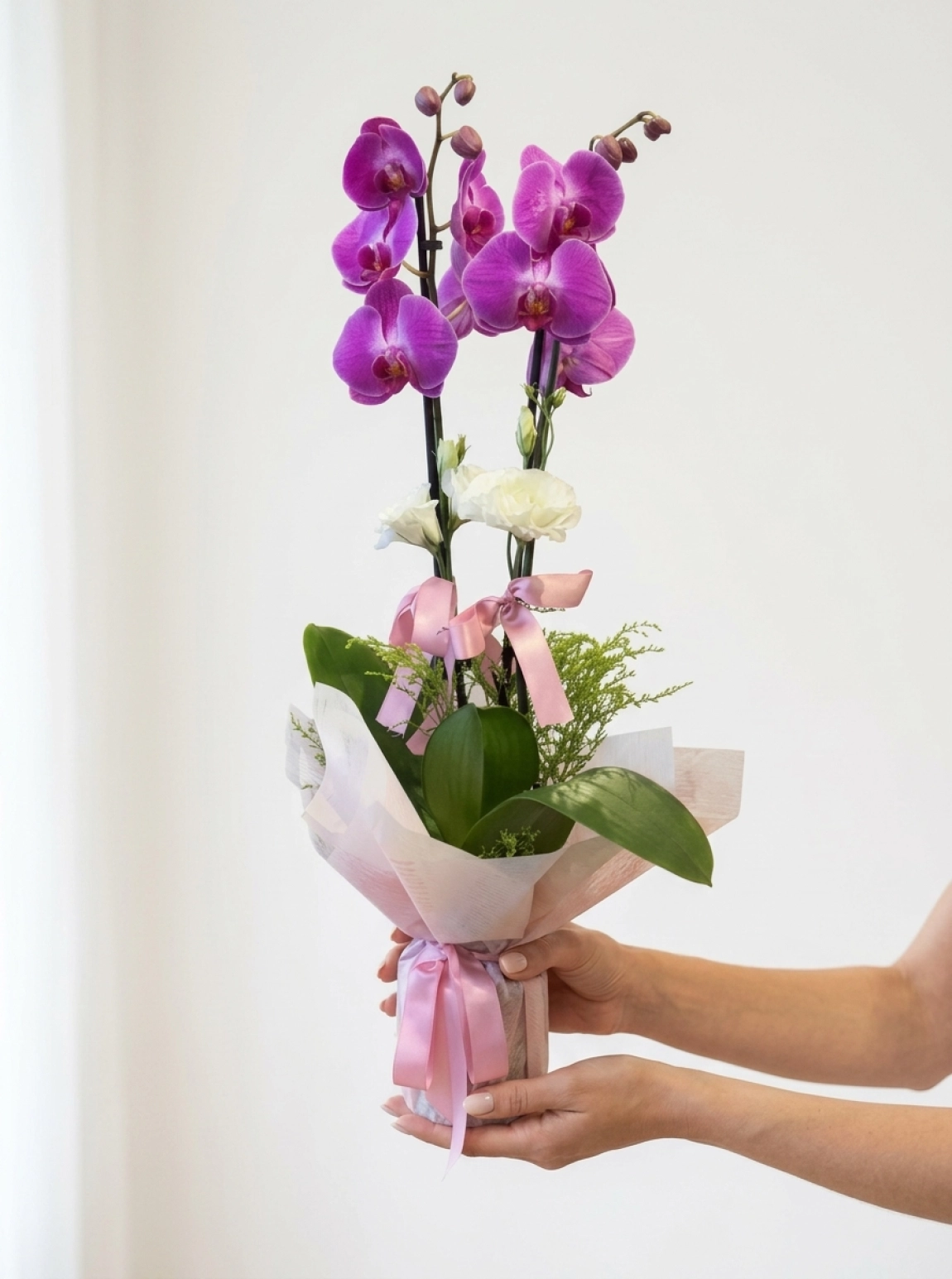 İki Dallı Fuşya Orkide Ve Beyaz Lisianthus Aranjmanı