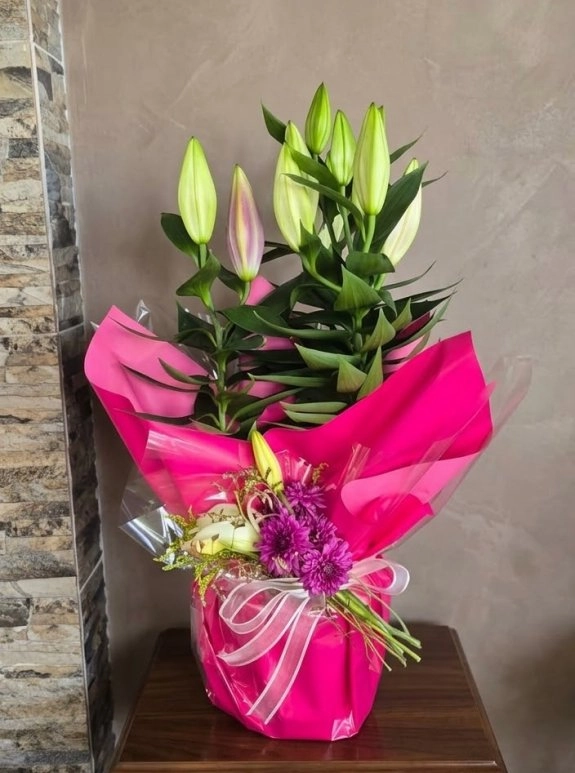 Saksıda Özenle Hazırlanmış Pembe Lilyum